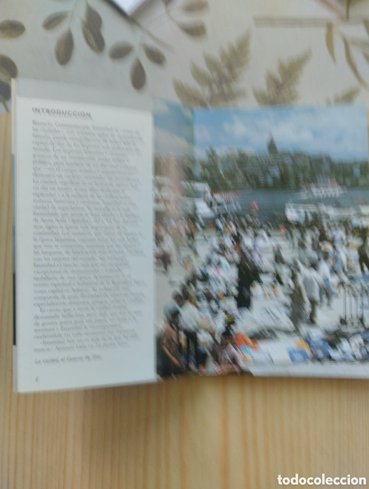 Libros: ESCAPADA A ESTAMBUL,MICHELIN, GUIA DE BOLSILLO. - Foto 11