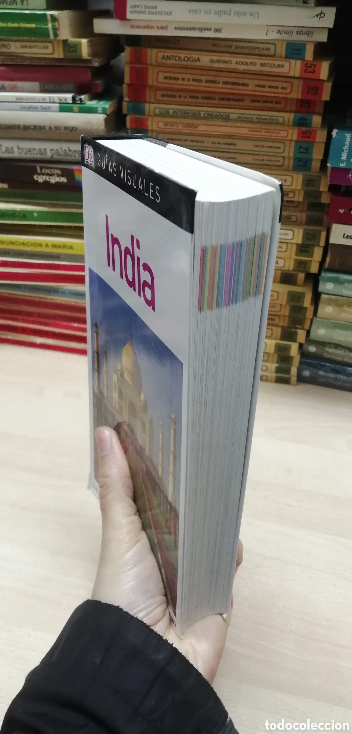 Libros: India Gu&iacute;as Visuales Edici&oacute;n 2017 Excelente estado - Foto 3