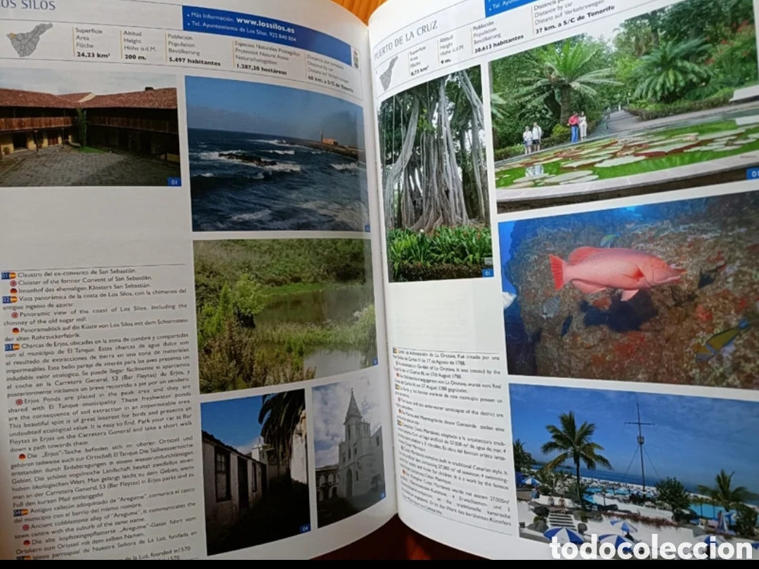 Libros: Canarias, islas y pueblos - Foto 8