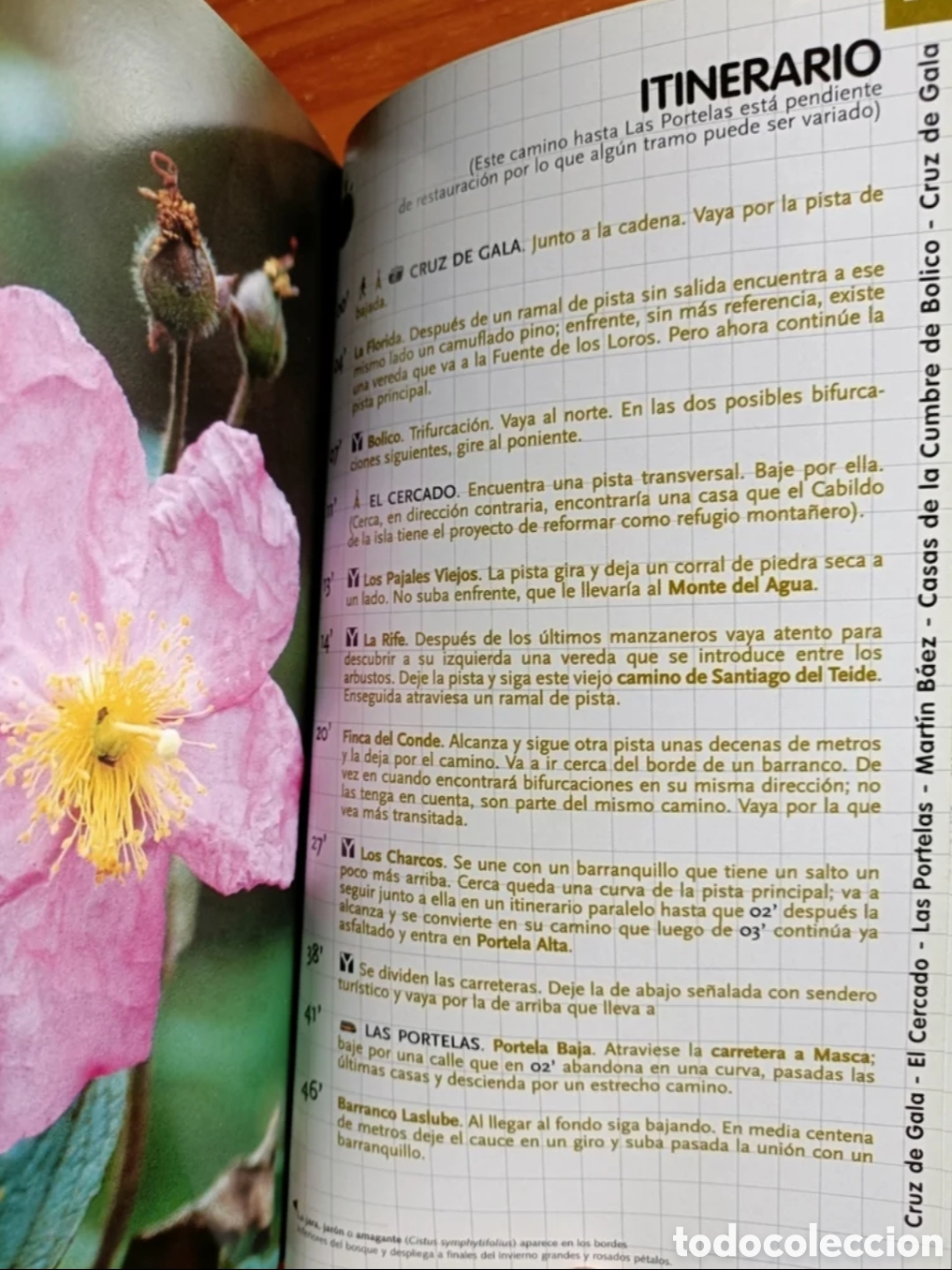 Libros: Teno: excursiones a pie - Foto 7