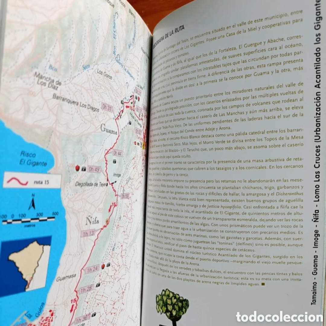 Libros: Teno: excursiones a pie - Foto 8