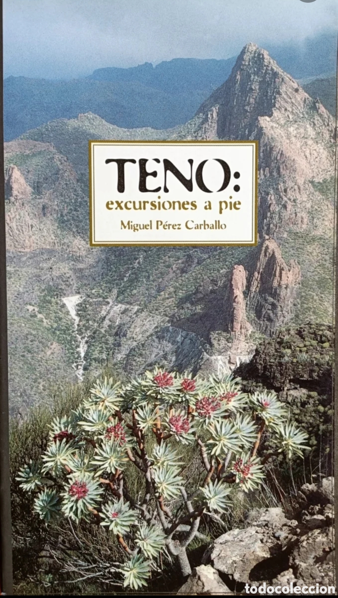 Libros: Teno: excursiones a pie - Foto 1