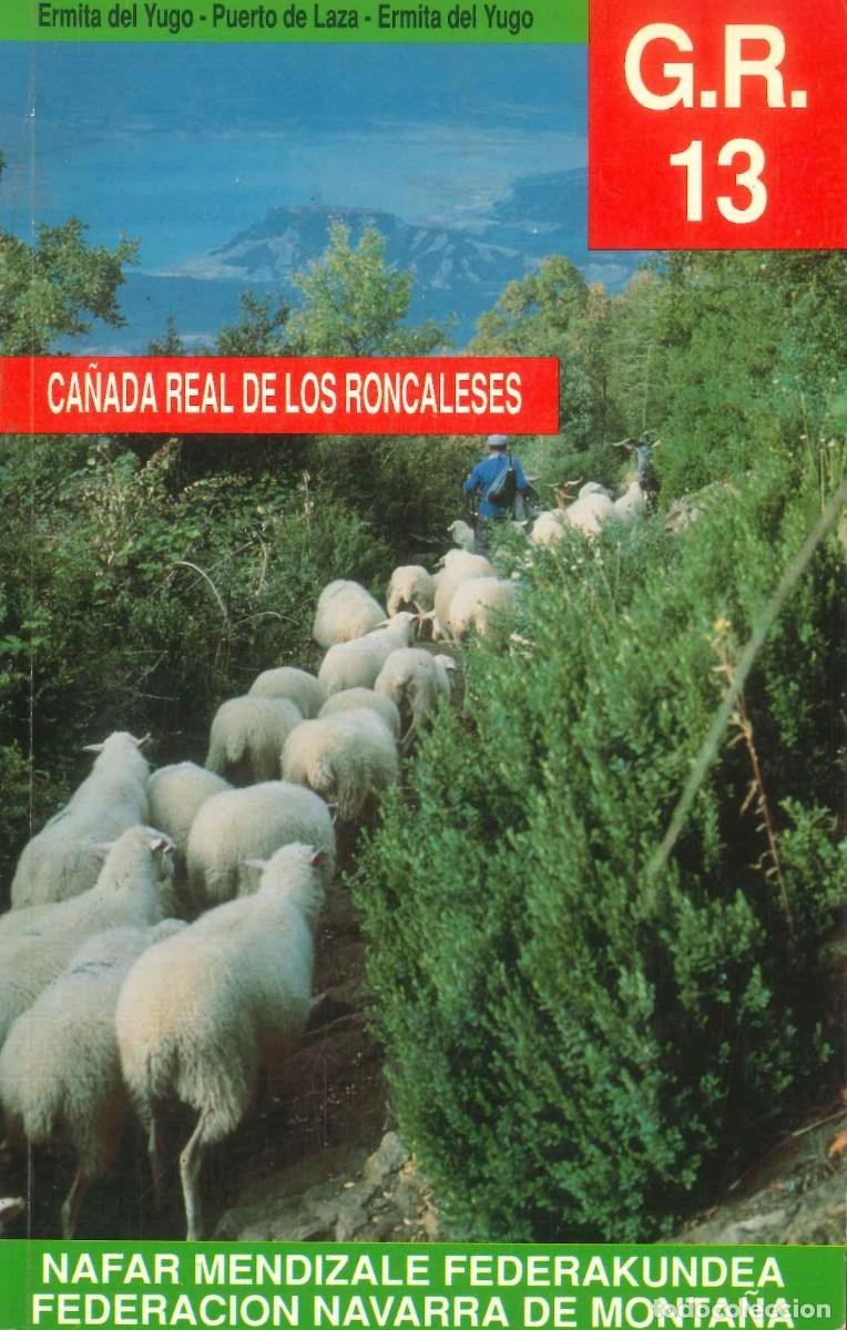 Libros: CA&Ntilde;ADA REAL DE LOS RONCALESES - Foto 1