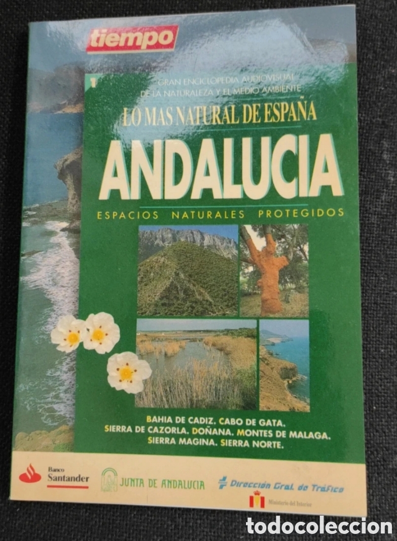 Libros: Pack colecci&oacute;n gu&iacute;as turisticas - Foto 3