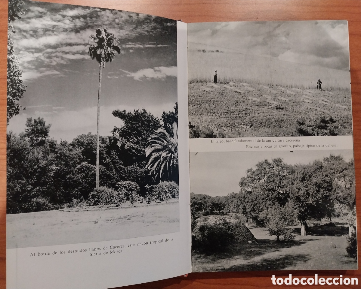Libros: 1969 Gu&iacute;a tur&iacute;stica C&aacute;ceres - Foto 6