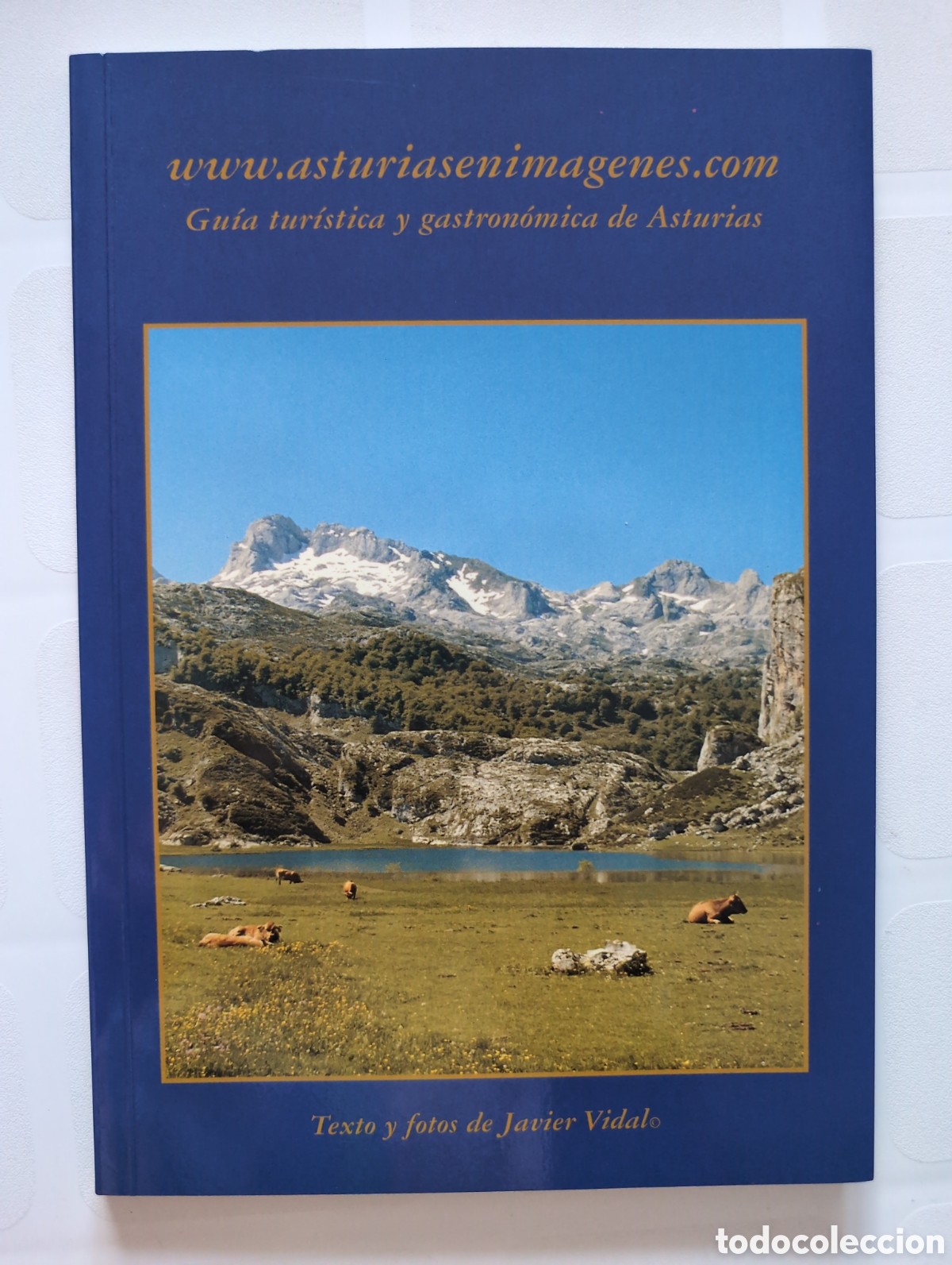 Libros: Gu&iacute;a tur&iacute;stica y gastronomica de Asturias