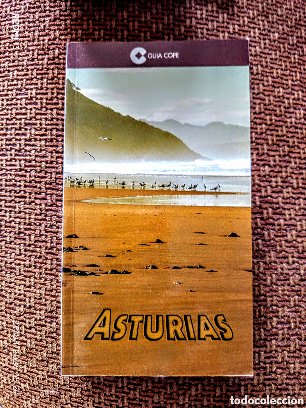 Libros: Gu&iacute;a COPE Asturias 2007-2008