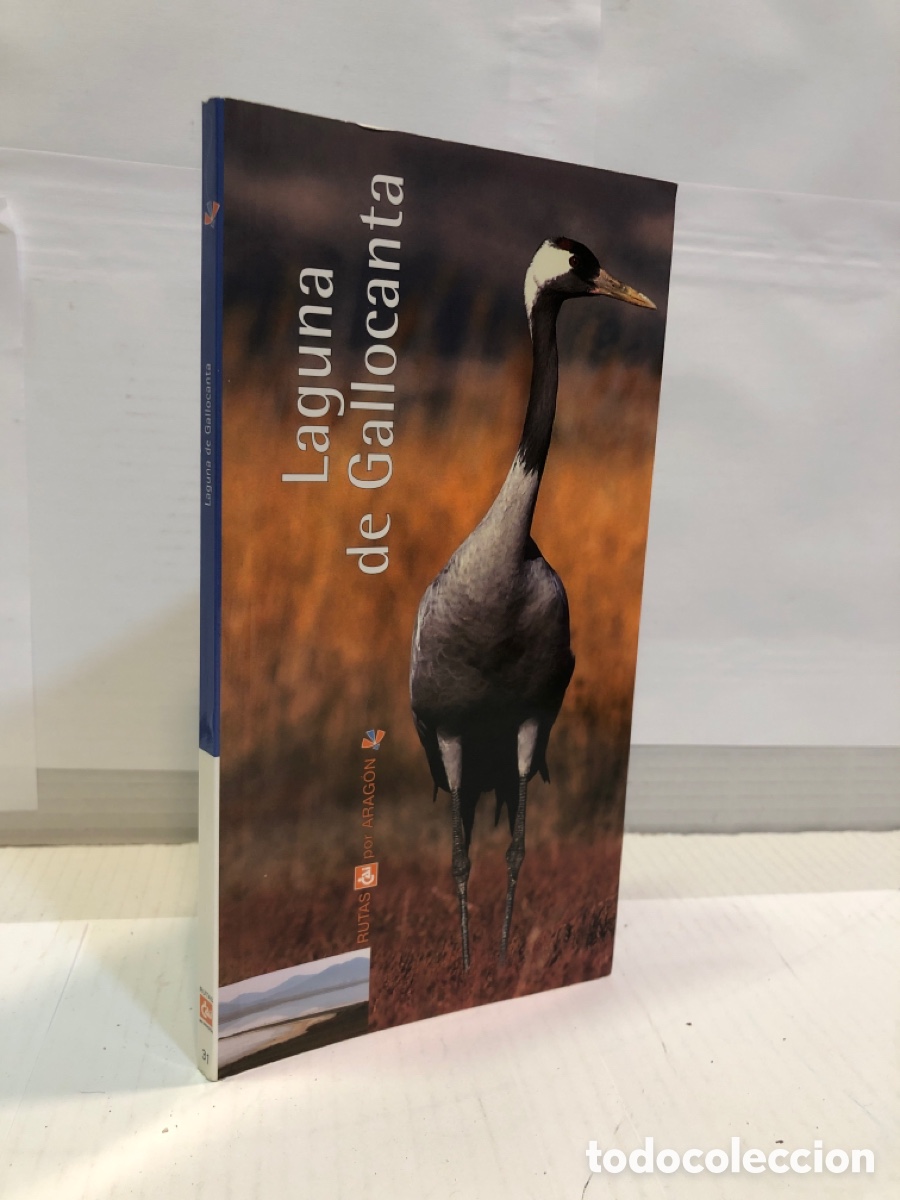 Libros: Laguna de Gallocanta