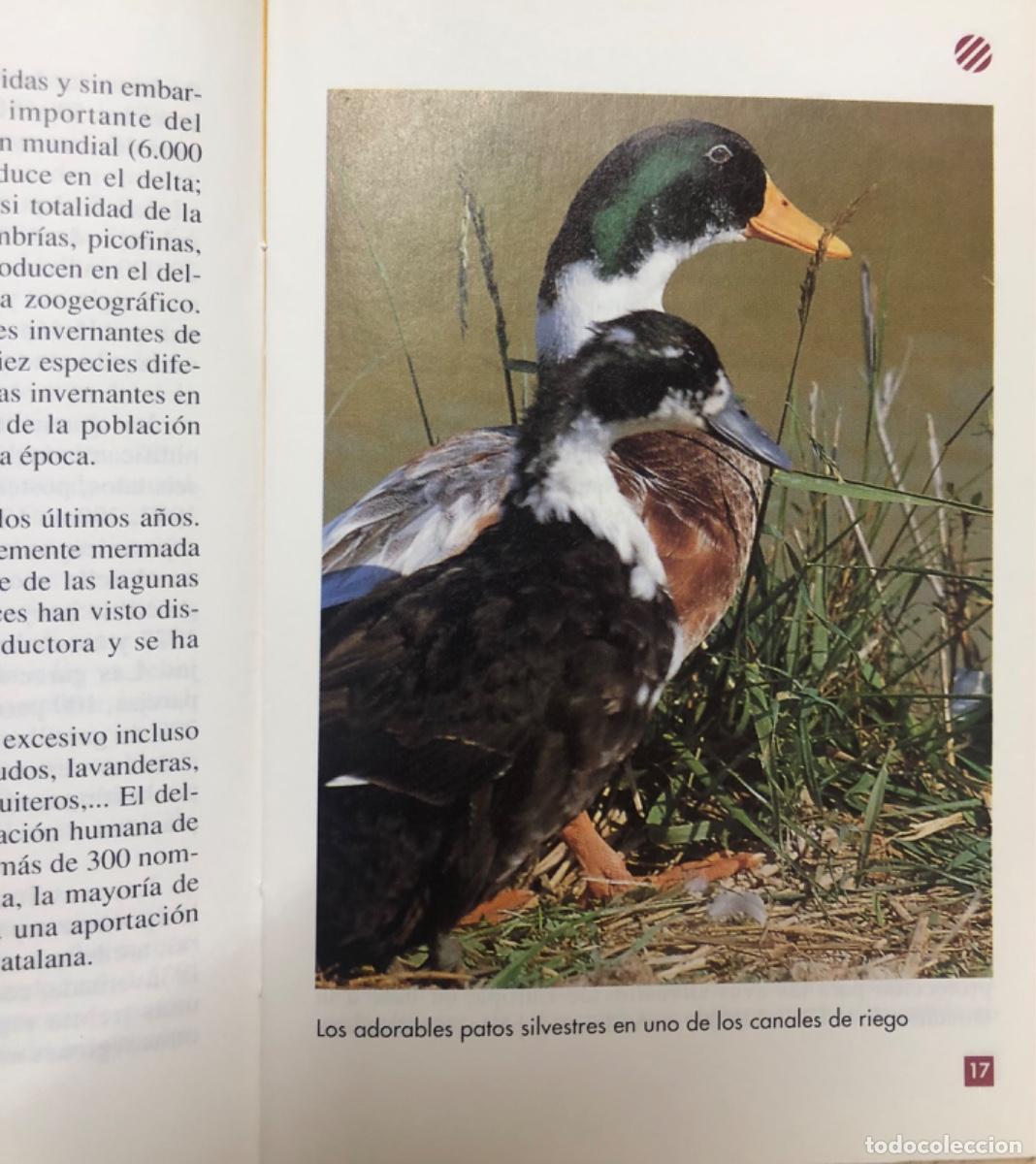 Libros: GU&Iacute;A PR&Aacute;CTICA CATALUNYA UNIVERSAL , EL DELTA DE L&rsquo;EBRE - Foto 4