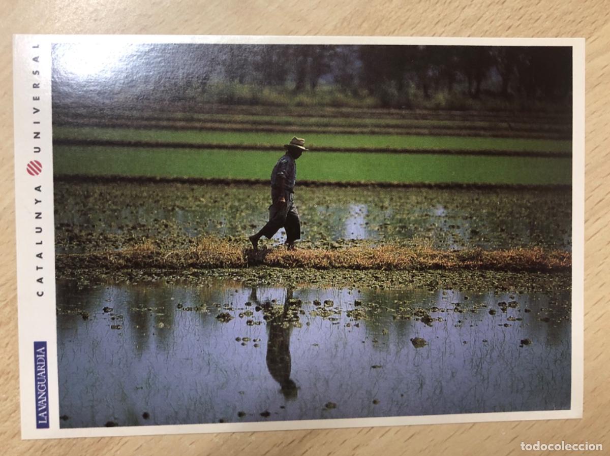Libros: GU&Iacute;A PR&Aacute;CTICA CATALUNYA UNIVERSAL , EL DELTA DE L&rsquo;EBRE - Foto 7