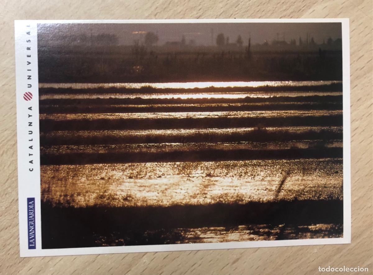 Libros: GU&Iacute;A PR&Aacute;CTICA CATALUNYA UNIVERSAL , EL DELTA DE L&rsquo;EBRE - Foto 9