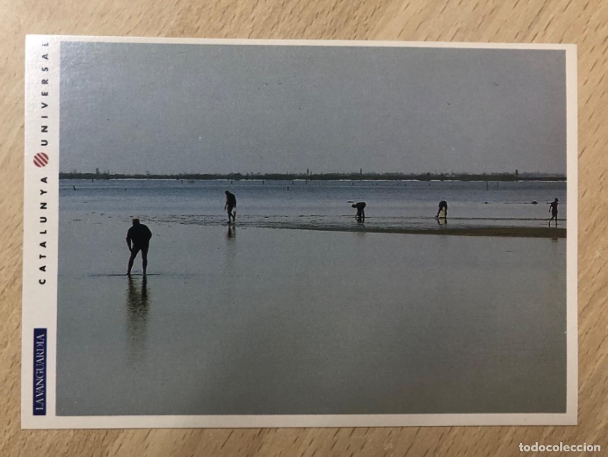 Libros: GU&Iacute;A PR&Aacute;CTICA CATALUNYA UNIVERSAL , EL DELTA DE L&rsquo;EBRE - Foto 11