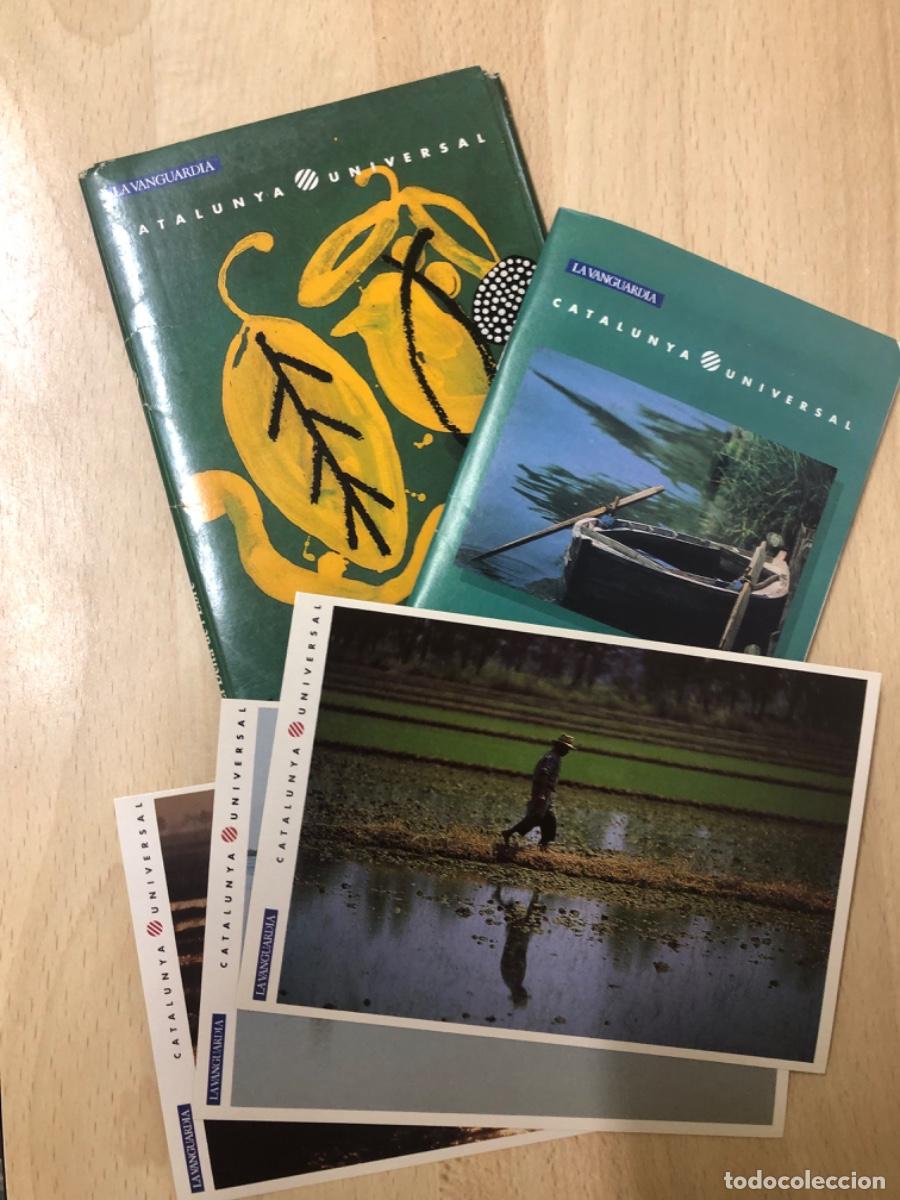 Libros: GU&Iacute;A PR&Aacute;CTICA CATALUNYA UNIVERSAL , EL DELTA DE L&rsquo;EBRE - Foto 13
