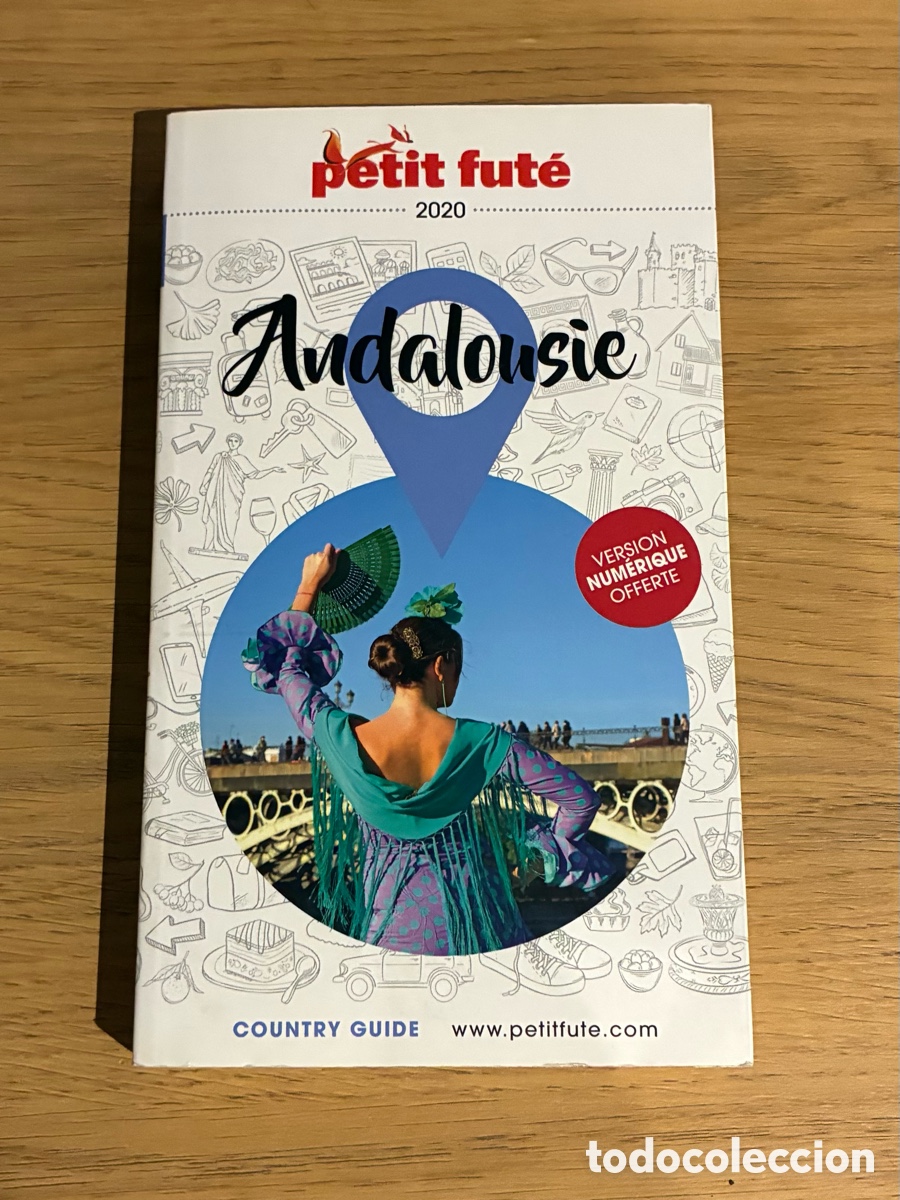 books: Gu&iacute;a de viaje Andaluc&iacute;a 2020 Petit Fut&eacute; (franc&eacute;s)