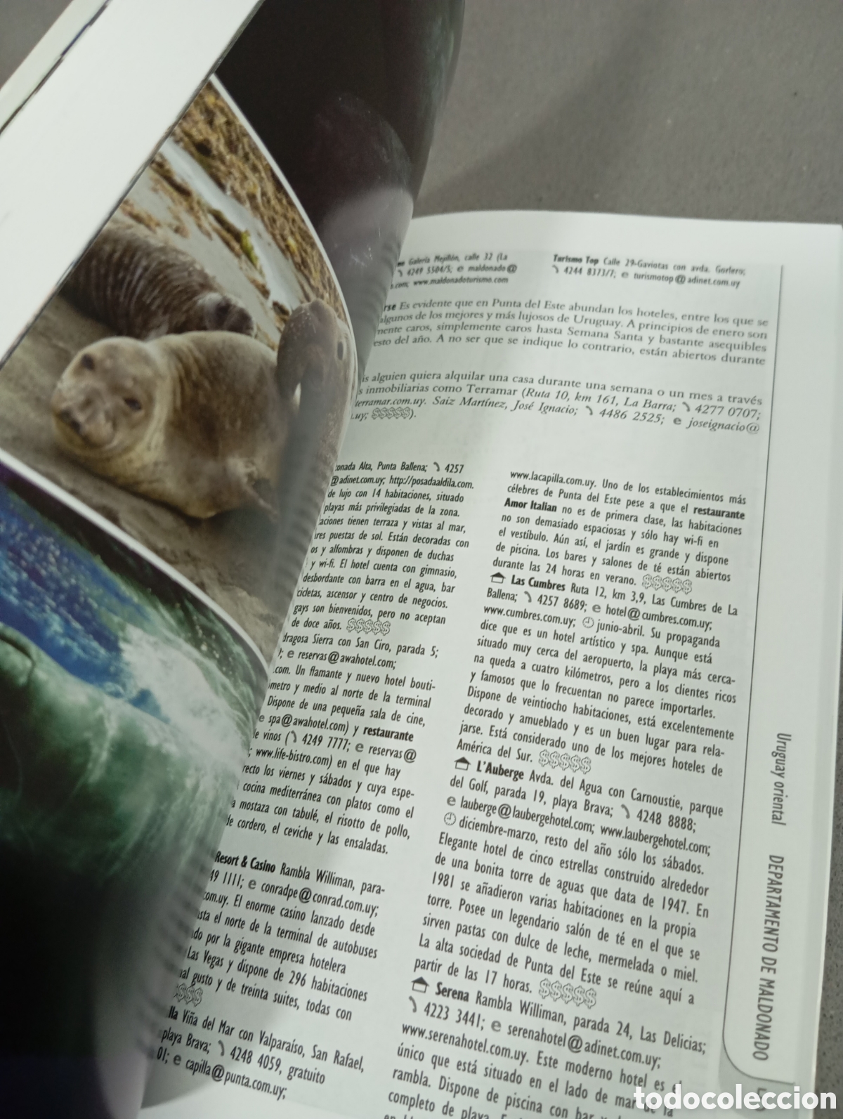 Libros: Uruguay, de Tim Burford - Foto 3
