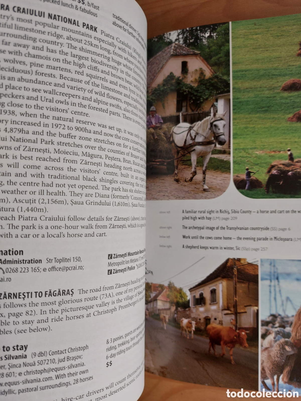 Libros: Transylvania. English guide - Foto 4