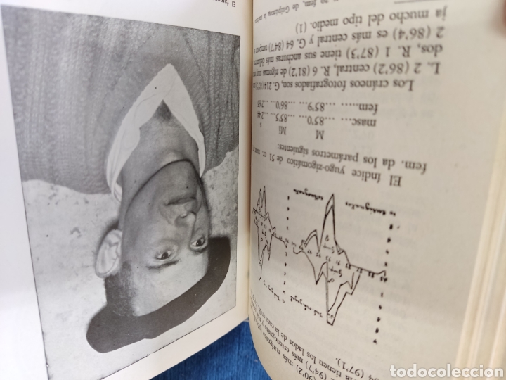 Libros: LA RAZA VASCA COLEC AU&Ntilde;AMENDI - Foto 4