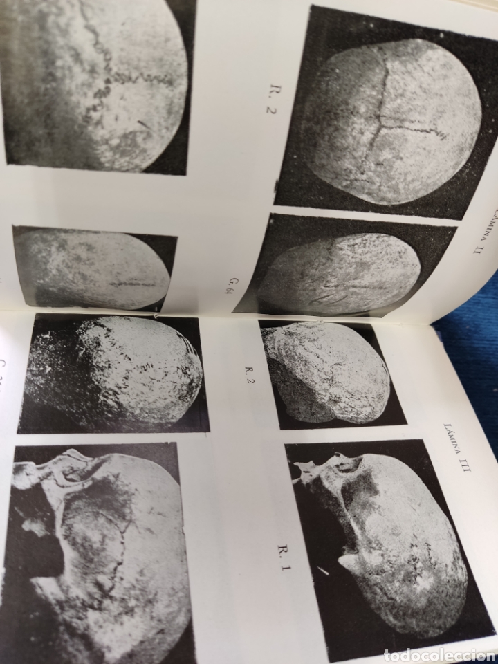 Libros: LA RAZA VASCA COLEC AU&Ntilde;AMENDI - Foto 5