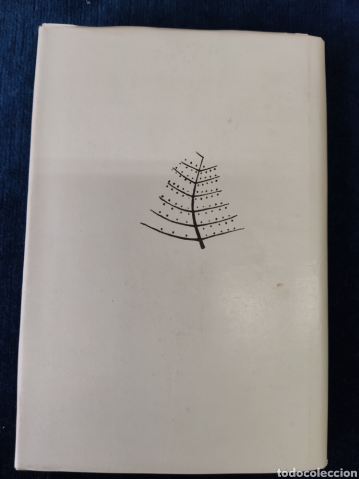 Libros: LA RAZA VASCA COLEC AU&Ntilde;AMENDI - Foto 6