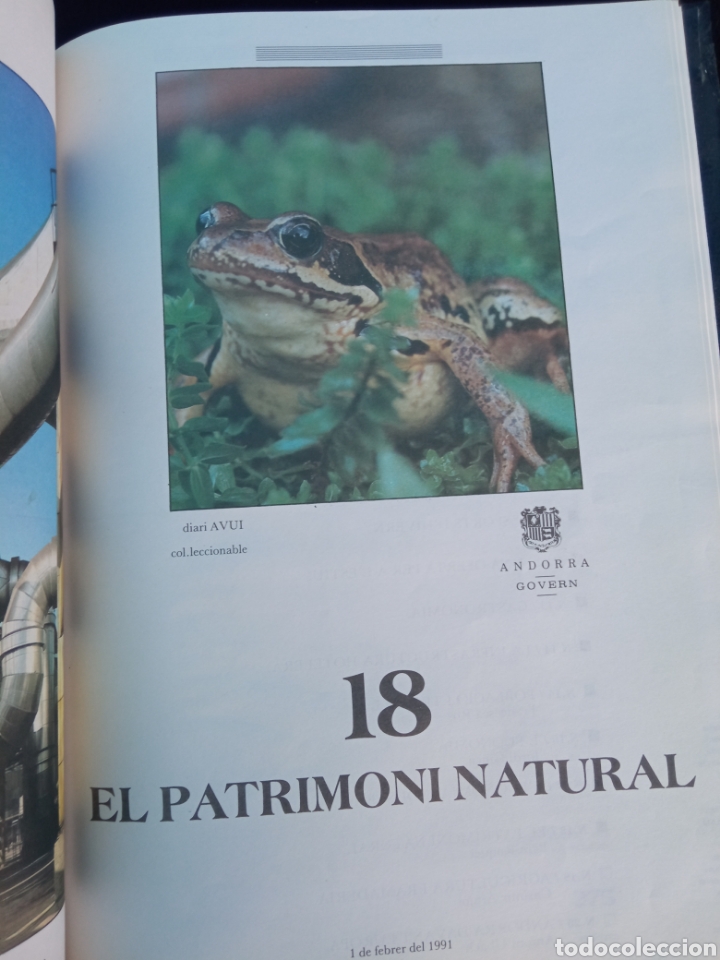 Libros: LIBRO DE ANDORRA - Foto 11