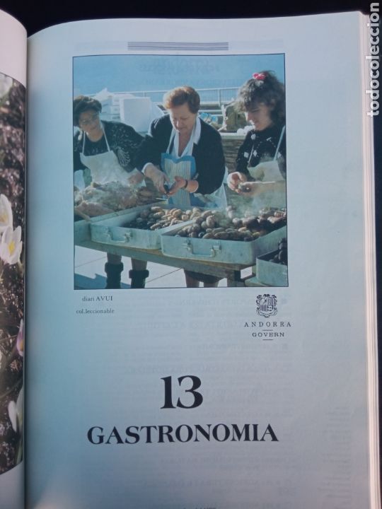 Libros: LIBRO DE ANDORRA - Foto 15