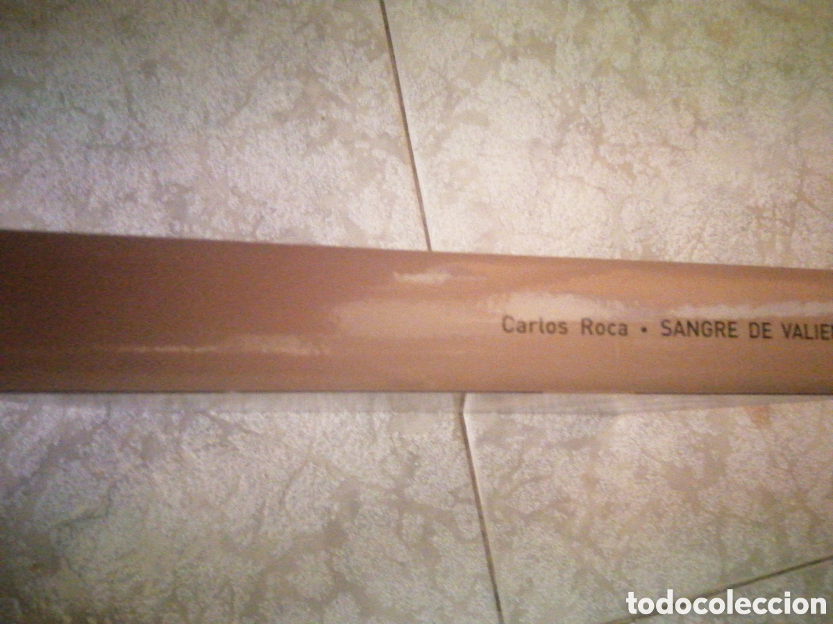 Libros: Sangre de valientes - Foto 2