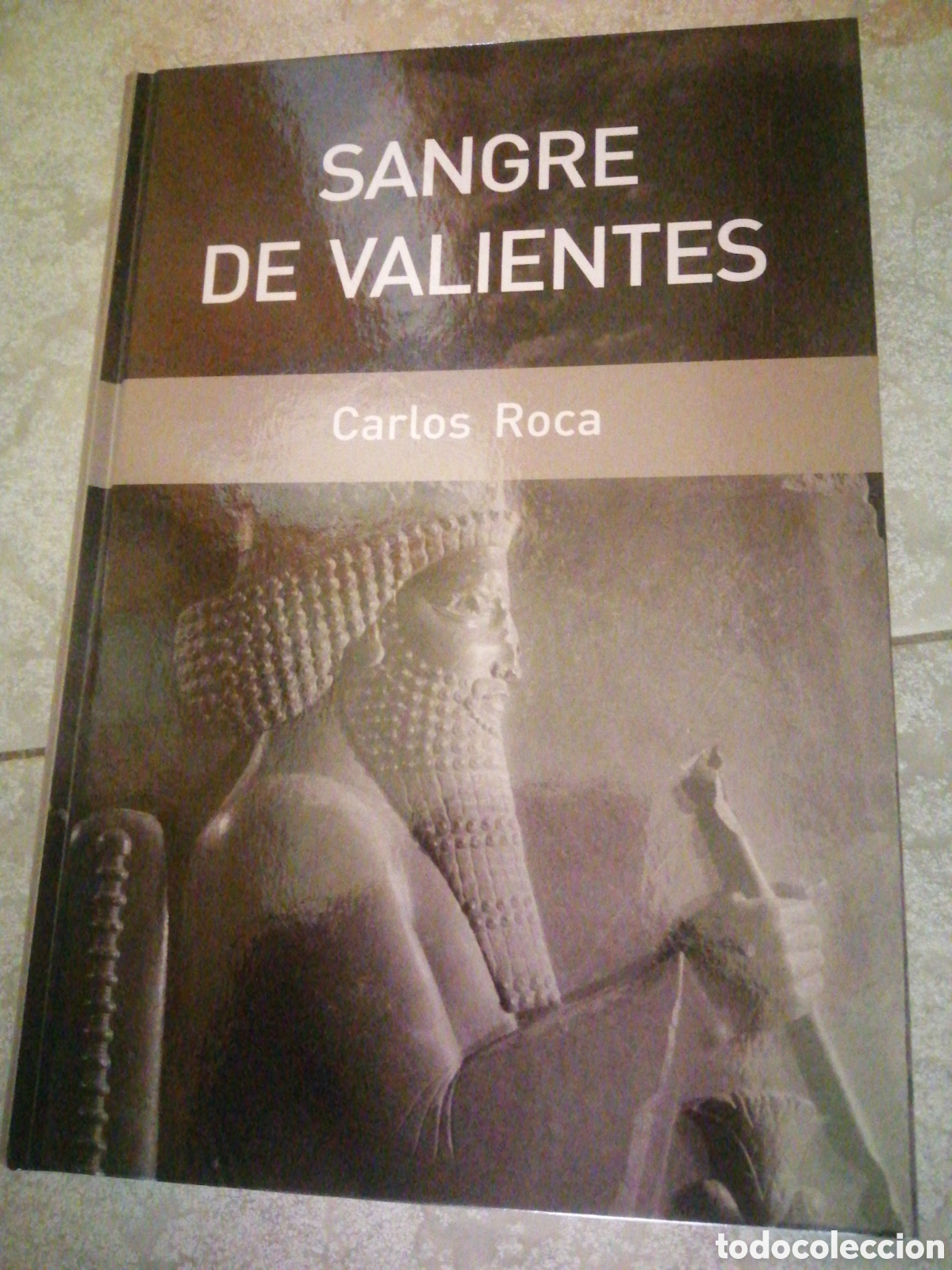 Libros: Sangre de valientes - Foto 1