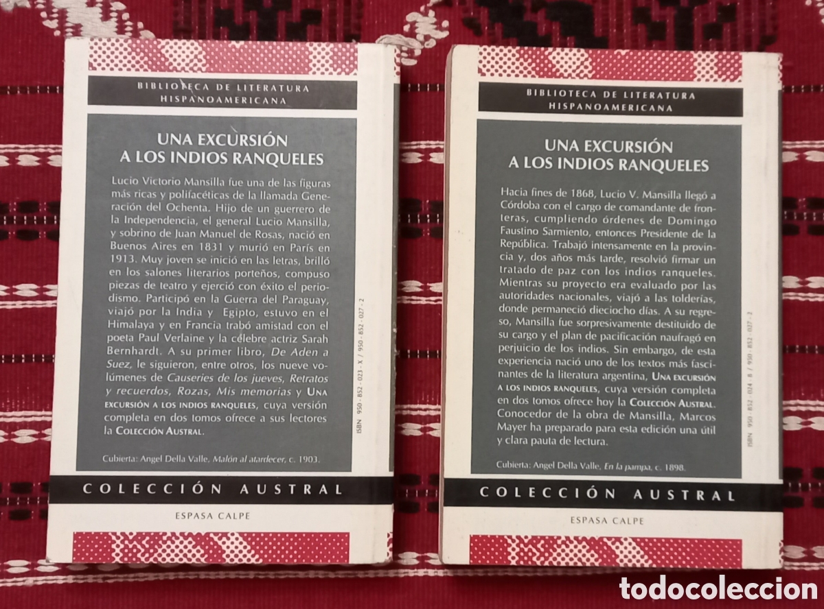 Libros: Libro:&rdquo;Una excursi&oacute;n a los indios Ranqueles&rdquo; tomo 1 y 2 - Foto 2