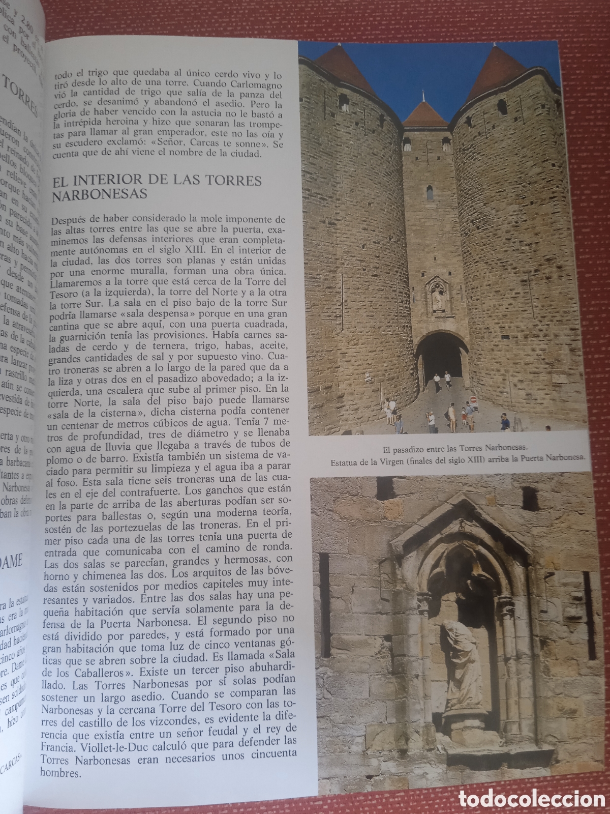 Libros: Carcasona Y Los Castillos C&aacute;taros - Foto 3