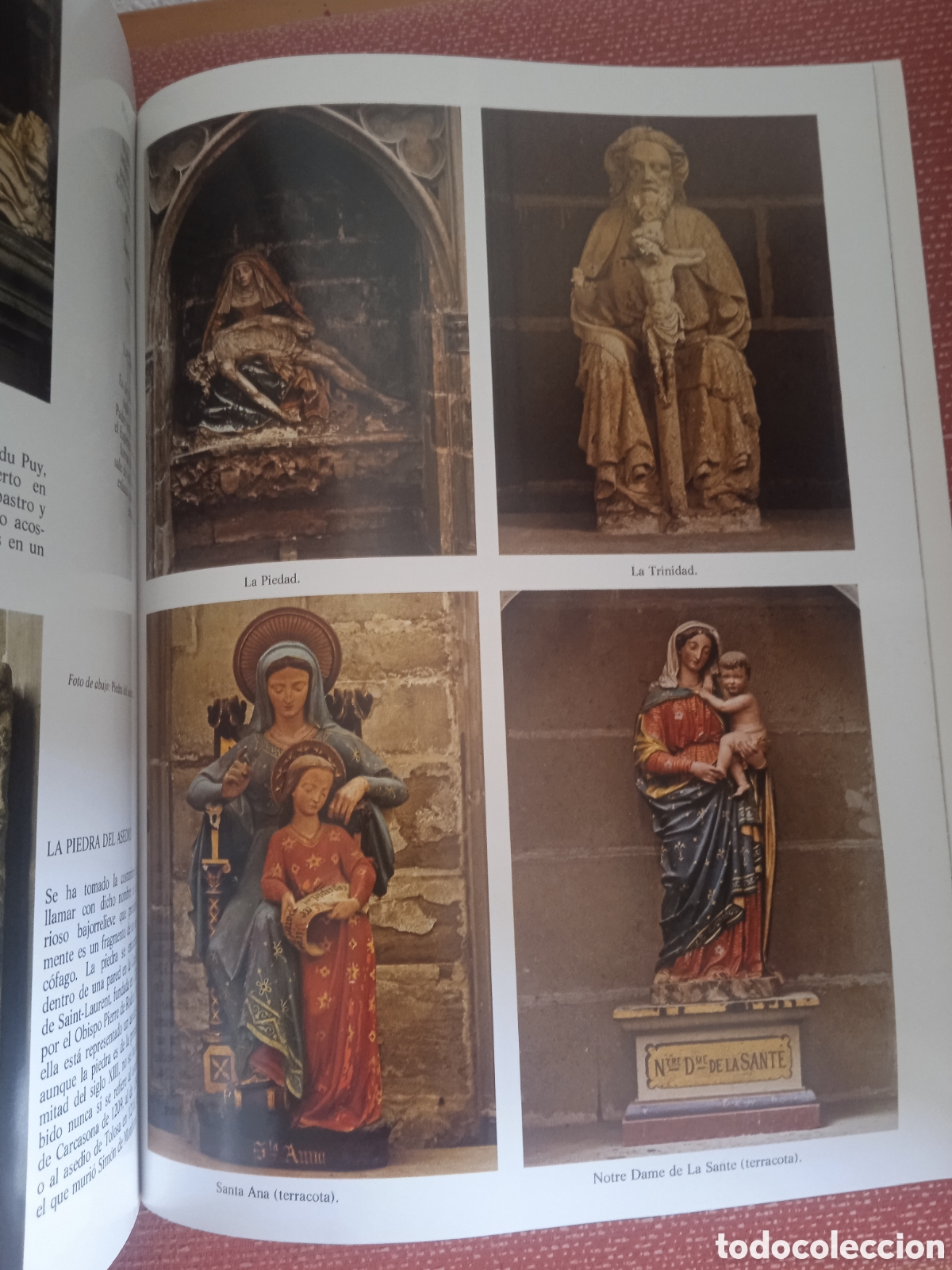 Libros: Carcasona Y Los Castillos C&aacute;taros - Foto 4