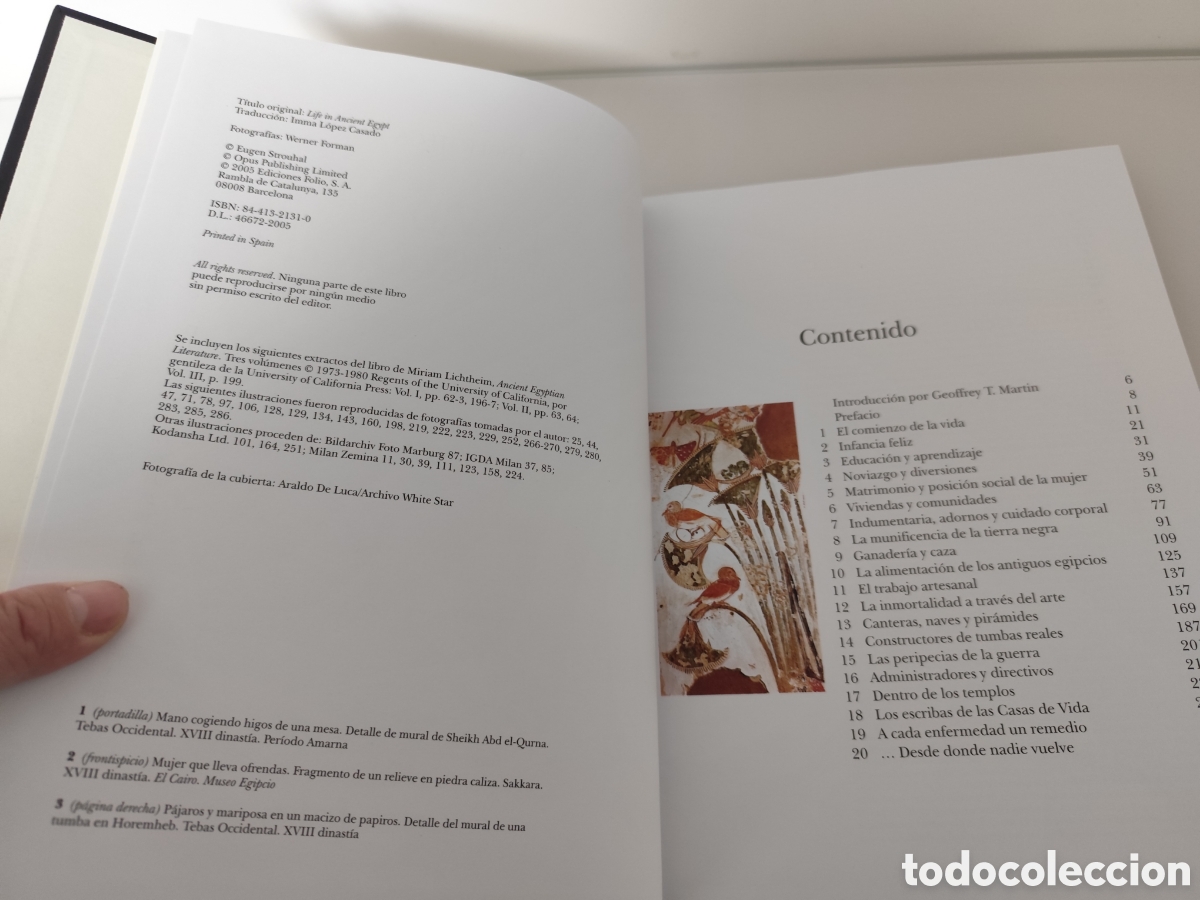 Libros: EUGEN STROUHAL / LA VIDA EN EL ANTIGUO EGIPTO - Foto 5