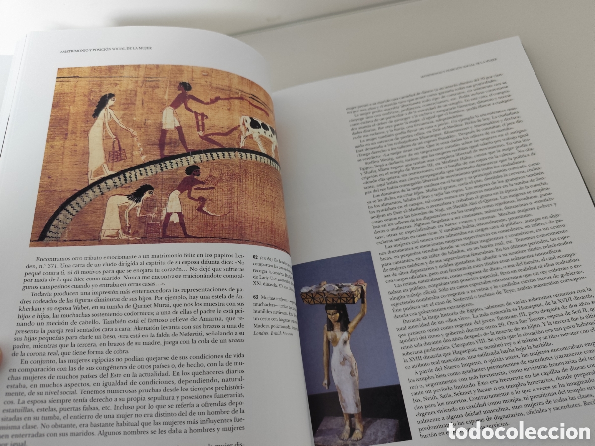 Libros: EUGEN STROUHAL / LA VIDA EN EL ANTIGUO EGIPTO - Foto 7