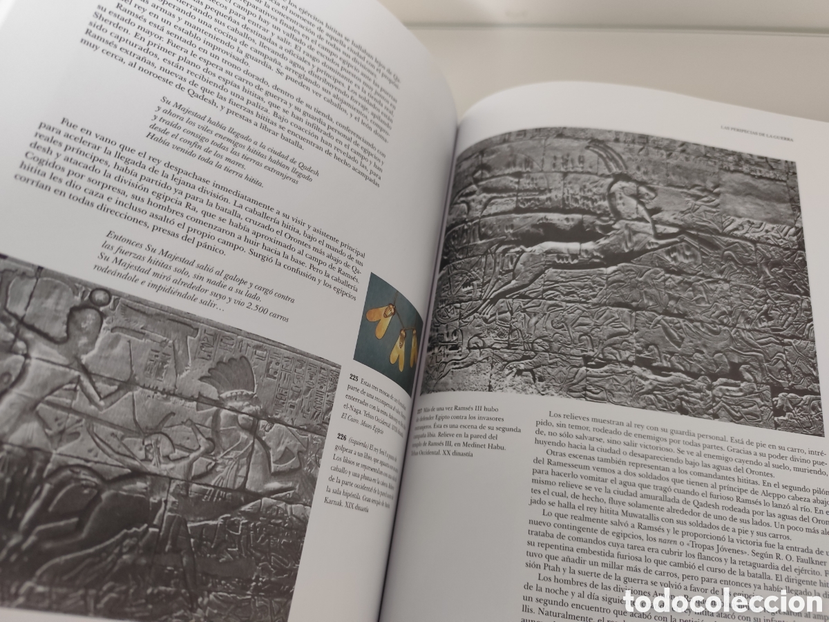Libros: EUGEN STROUHAL / LA VIDA EN EL ANTIGUO EGIPTO - Foto 10