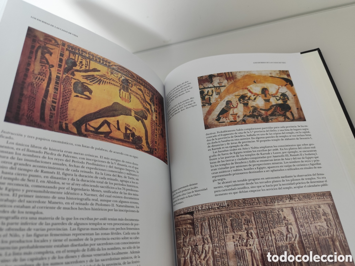Libros: EUGEN STROUHAL / LA VIDA EN EL ANTIGUO EGIPTO - Foto 11