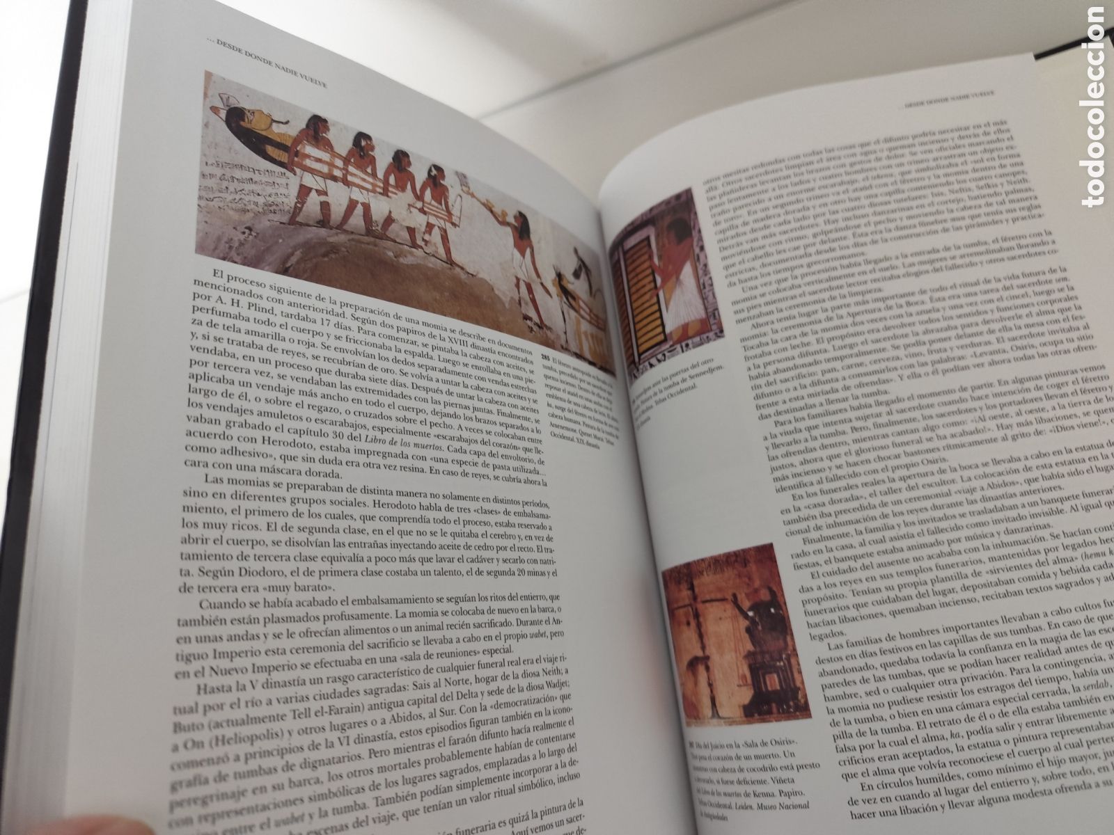 Libros: EUGEN STROUHAL / LA VIDA EN EL ANTIGUO EGIPTO - Foto 12