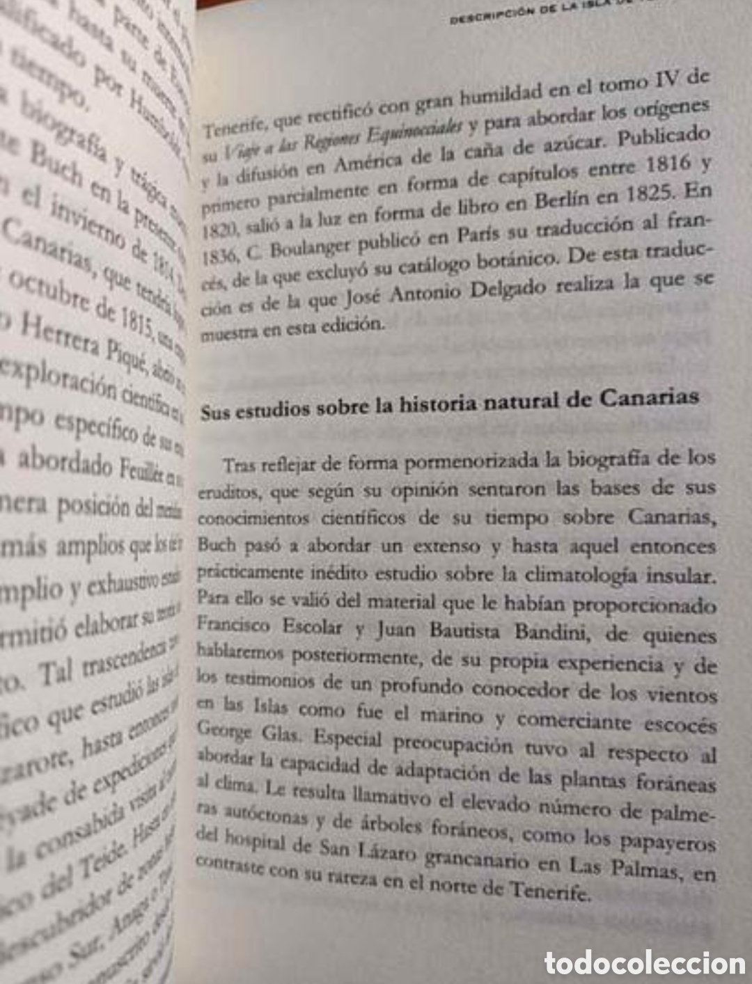 Libros: Descripci&oacute;n de la Isla de Tenerife - Foto 4