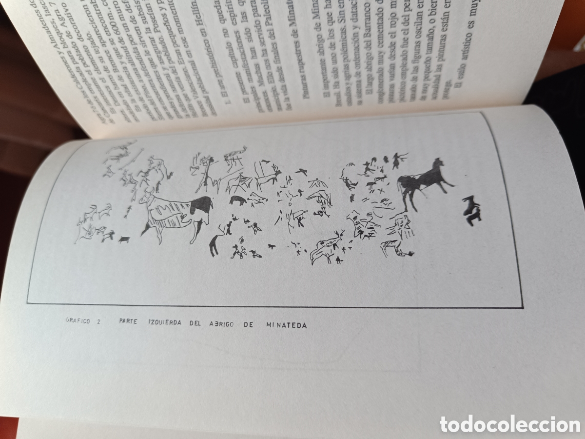 Libros: Historia de la Ciudad de Hell&iacute;n - Foto 8