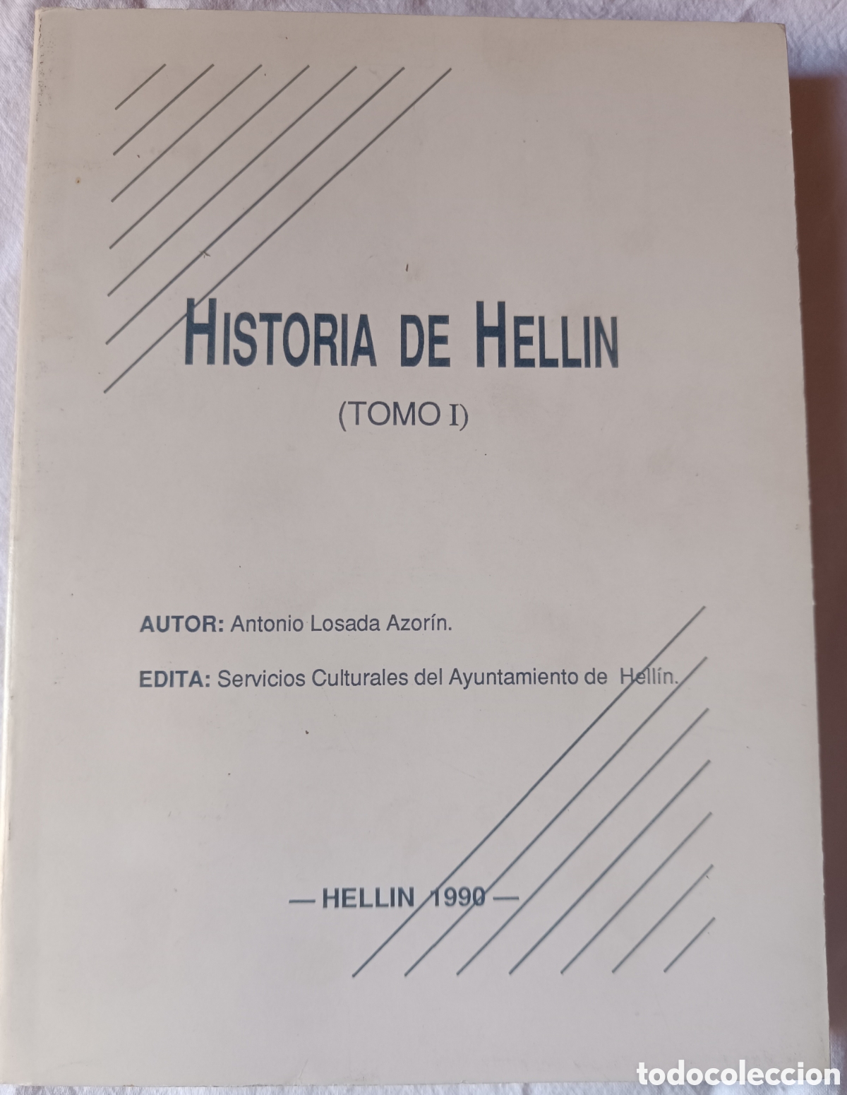 Libros: Historia de la Ciudad de Hell&iacute;n