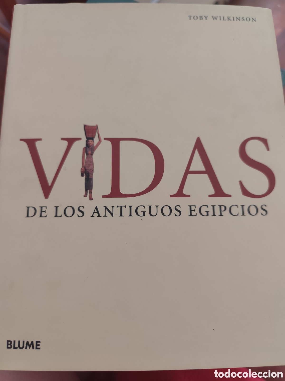 Libros: Vidas de los antiguos Egipcios