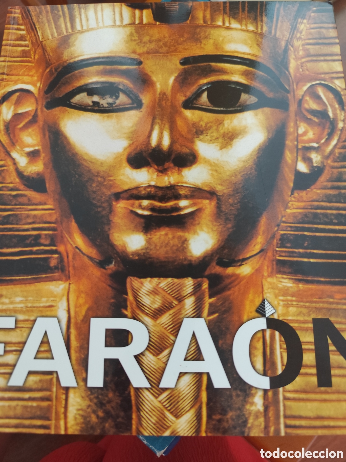 Libros: Fara&oacute;n el enigma de Egipto