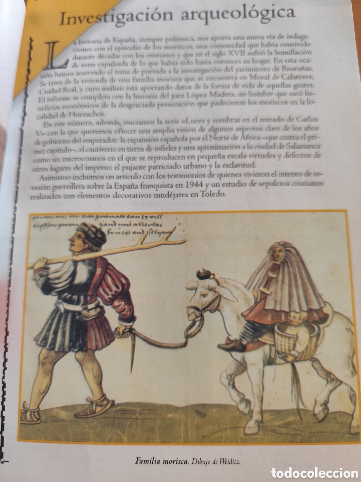 Libros: Arqueolog&iacute;a de los mariscos - Foto 2