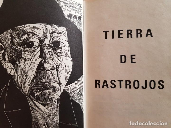 Libros: TIEMPO DE RASTROJOS - Foto 1
