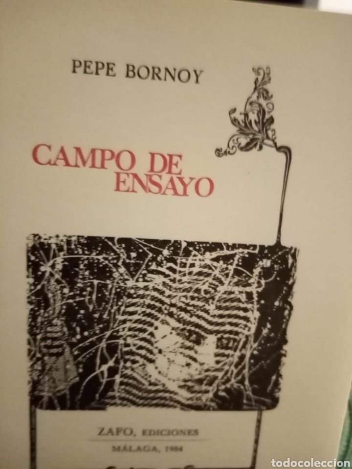 Libros: Campo de ensayo - Foto 1