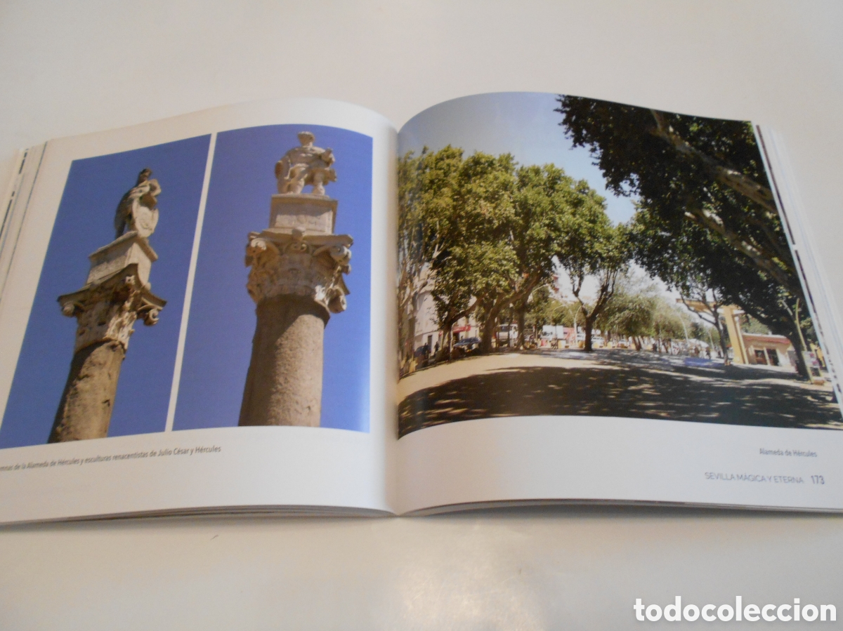 Libros: Sevilla m&aacute;gica y eterna (Inmaculada Mansilla) - Foto 5