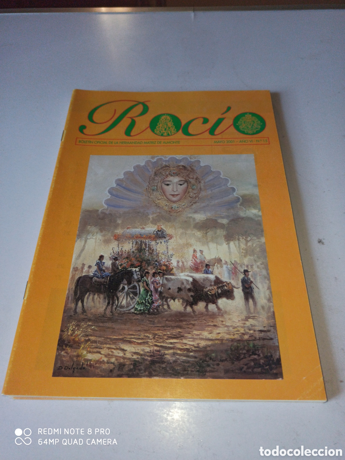 Libros: Bolet&iacute;n Roc&iacute;o matriz de almonte - Foto 1