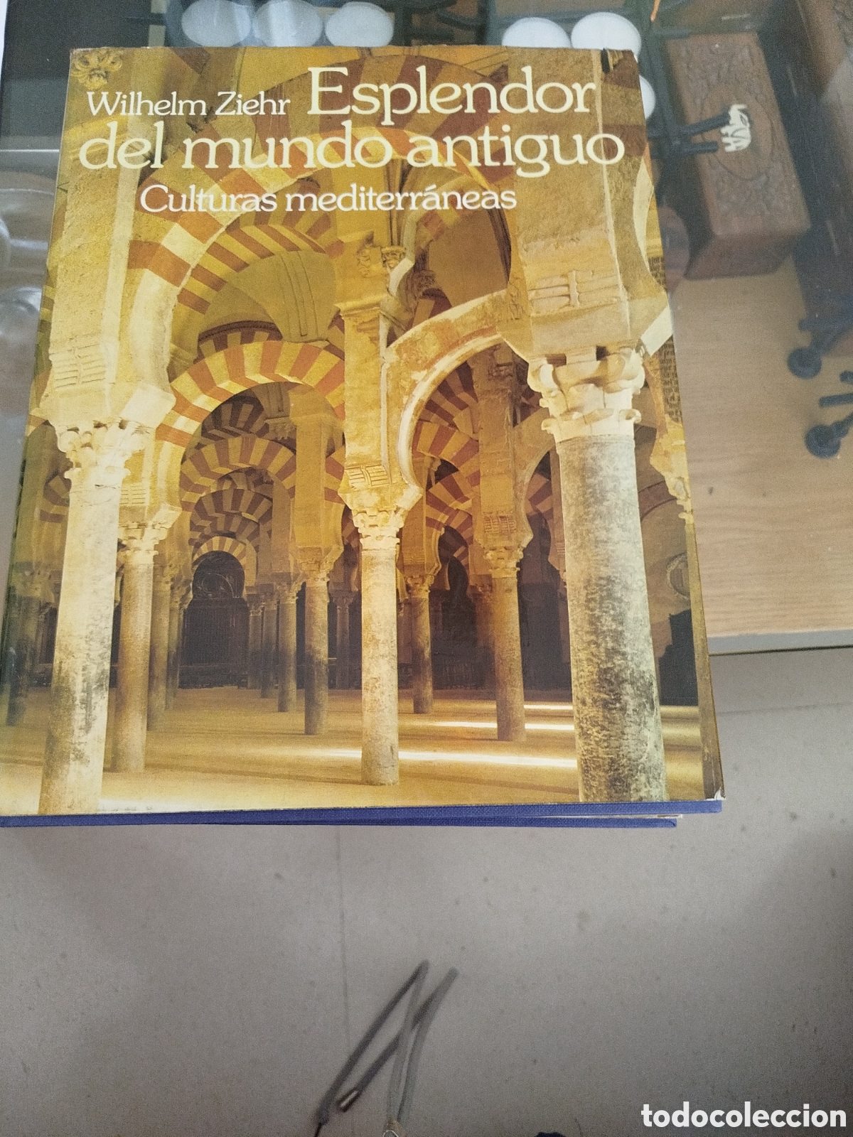 Libros: Esplendor del Mundo antiguo.