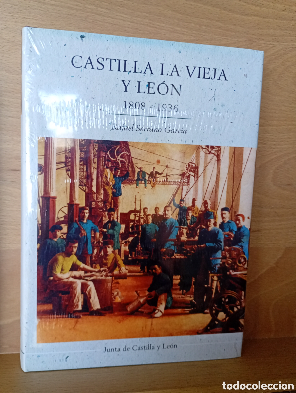 Libros: Castilla la vieja y le&oacute;n 1808 1936 Rafael serrano Garc&iacute;a junta castilla y leon