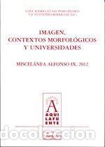 Libros: Imagen, contextos morfol&oacute;gicos y universidades - Rodr&iacute;guez-San Pedro Bezares, Luis E.; Polo
