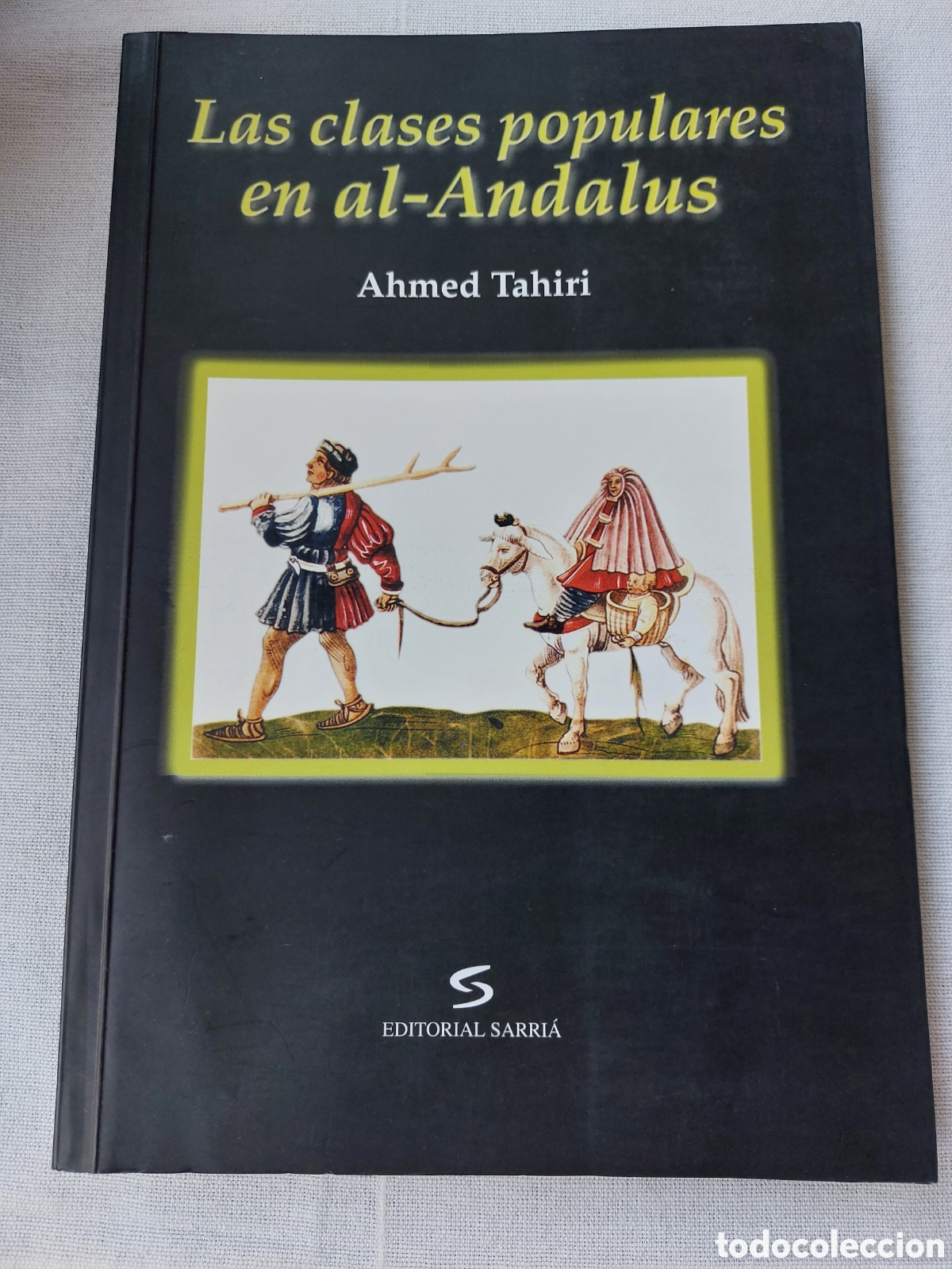 Libros: Las clases populares en al-&Aacute;ndalus