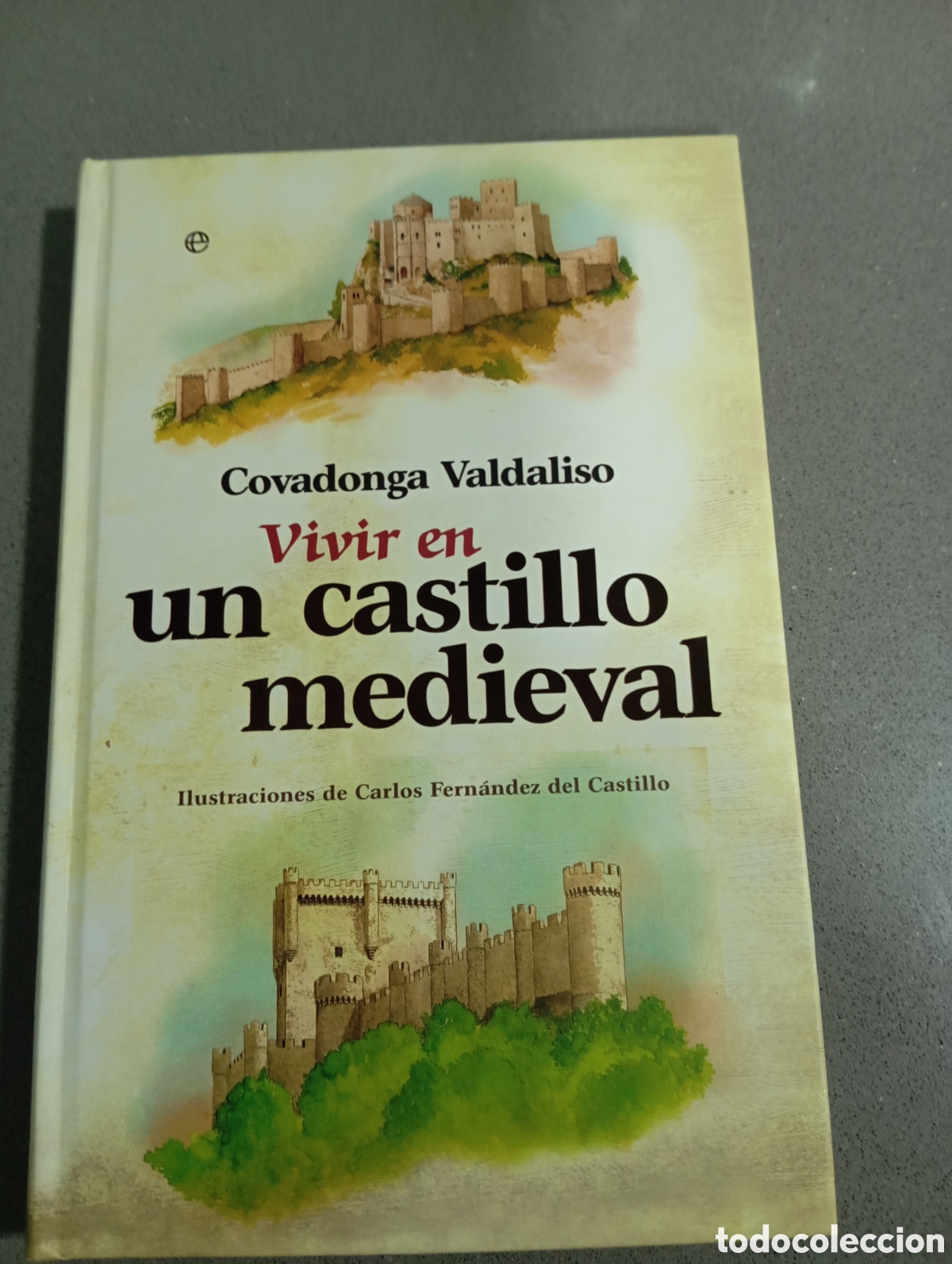 Libros: Vivir en un castillo medieval, de Covadonga Valdaliso